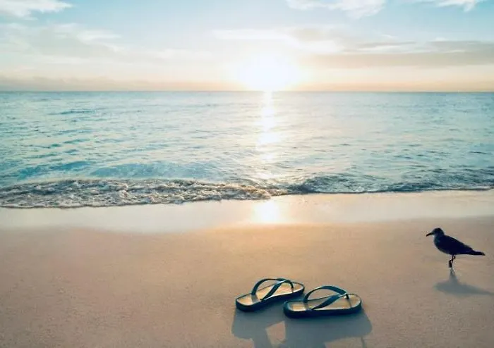 Apartment Sofiamarholidays- Casa Rocha Iii *